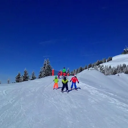 Apartament Gipfelblick- Tiroler Zugspitze Arena In *