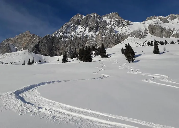 Gipfelblick- Tiroler Zugspitze Arena In شقة ببيرفيير