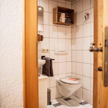 Appartement Gipfelblick- Tiroler Zugspitze Arena In Biberwier